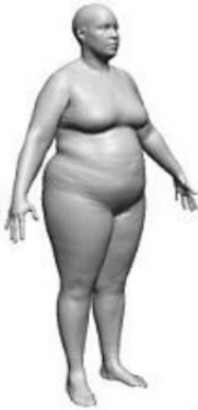 Tipo de corpo 3